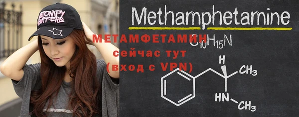 шишки Новодвинск