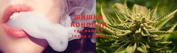 ПСИЛОЦИБИНОВЫЕ ГРИБЫ Аркадак