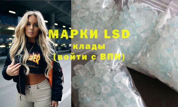 ПСИЛОЦИБИНОВЫЕ ГРИБЫ Аркадак