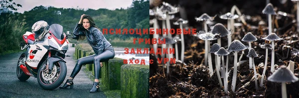 ПСИЛОЦИБИНОВЫЕ ГРИБЫ Аркадак