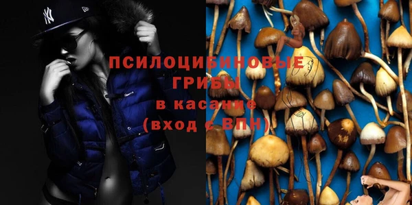 а пвп мука Арсеньев