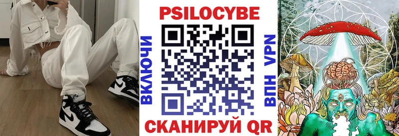 маркетплейс какой сайт  Светлоград  Псилоцибиновые грибы мицелий  закладка 